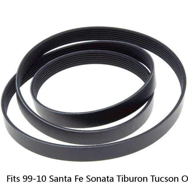 Fits 99-10 Santa Fe Sonata Tiburon Tucson Optima Sportage 2.7L V-Ribbed Belt